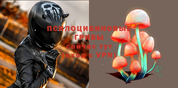 дмт Богородск