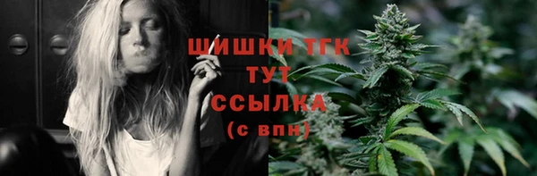 твердый Богородицк