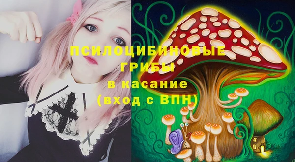 дмт Богородск