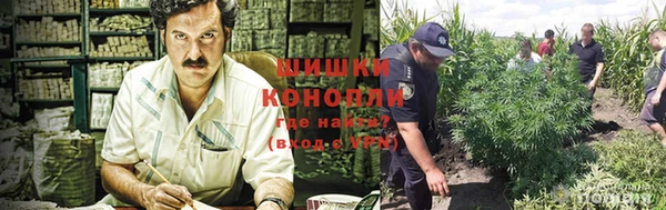 а пвп мука Богданович