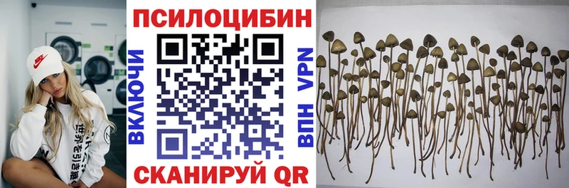 Галлюциногенные грибы Psilocybine cubensis  Кологрив 